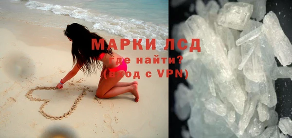 ПСИЛОЦИБИНОВЫЕ ГРИБЫ Арсеньев