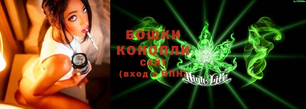 ПСИЛОЦИБИНОВЫЕ ГРИБЫ Арсеньев