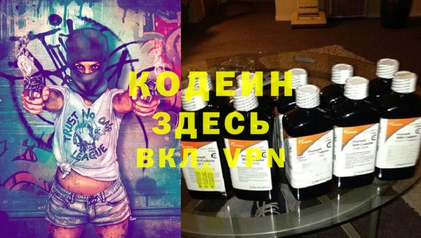 ПСИЛОЦИБИНОВЫЕ ГРИБЫ Арсеньев